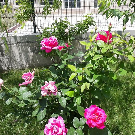 Dr Aslan Apart Hotel Эсенбога Экстерьер фото
